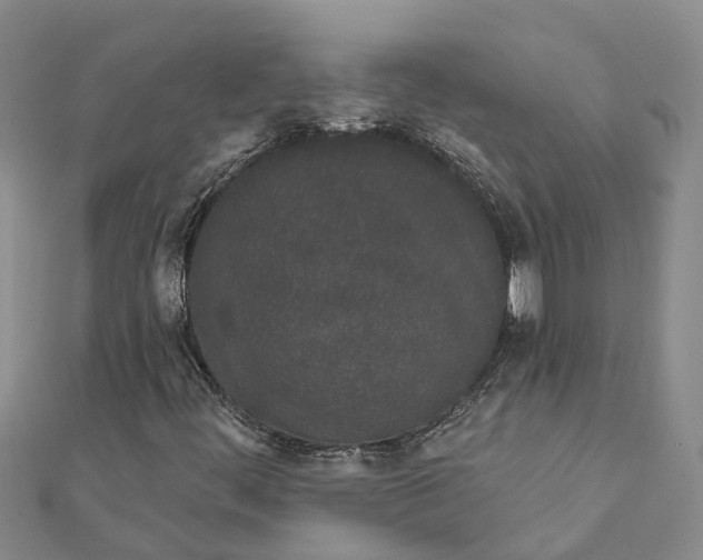 X0000111891444200908131644