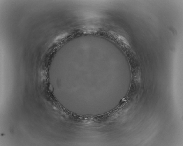 X0000111891445200908131644