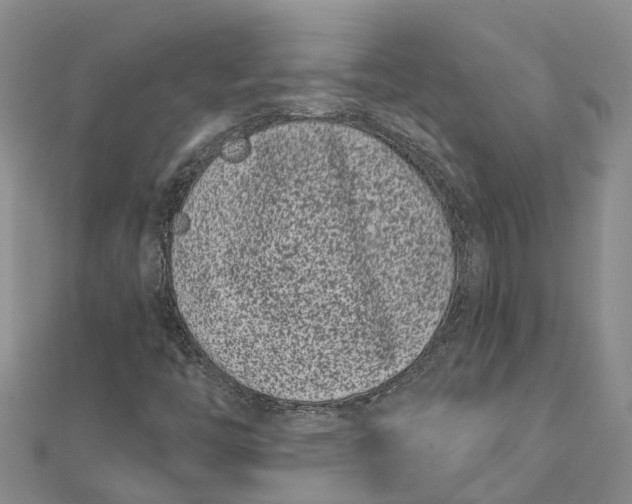 X0000111891446200908131644