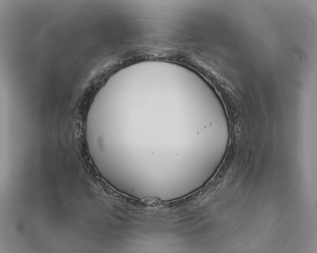 X0000111891447200908131644