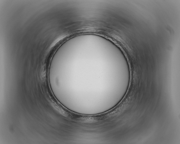 X0000111891450200908131644