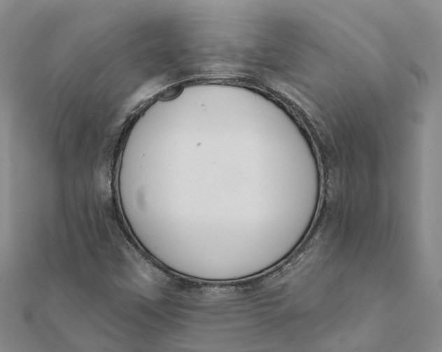 X0000111891451200908131644