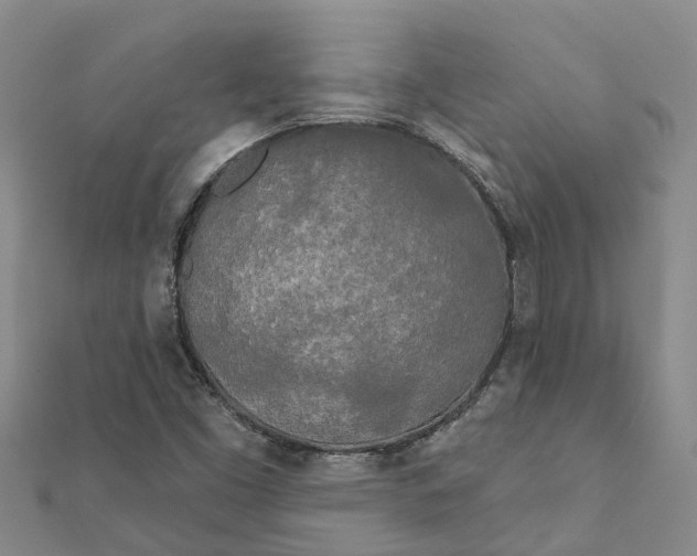 X0000111891453200908131644