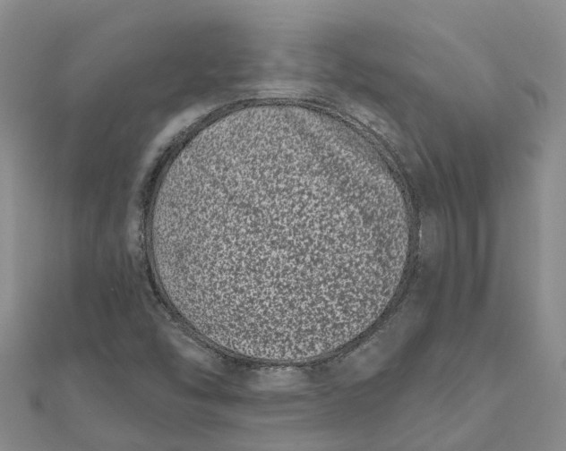 X0000111891454200908131644