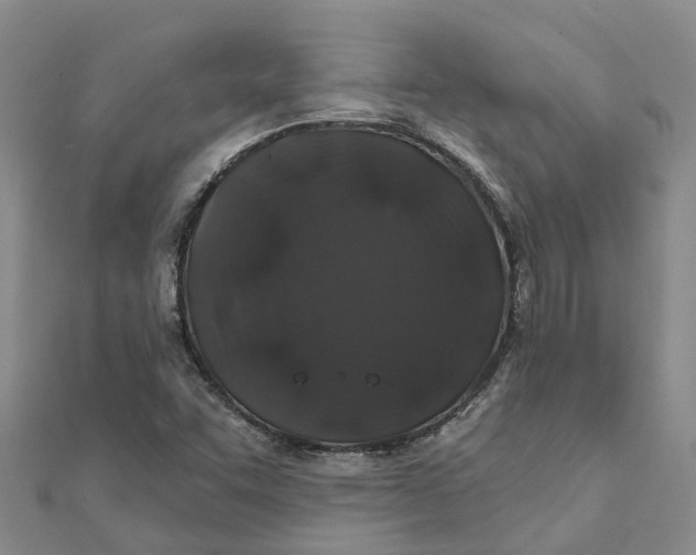 X0000111891455200908131644