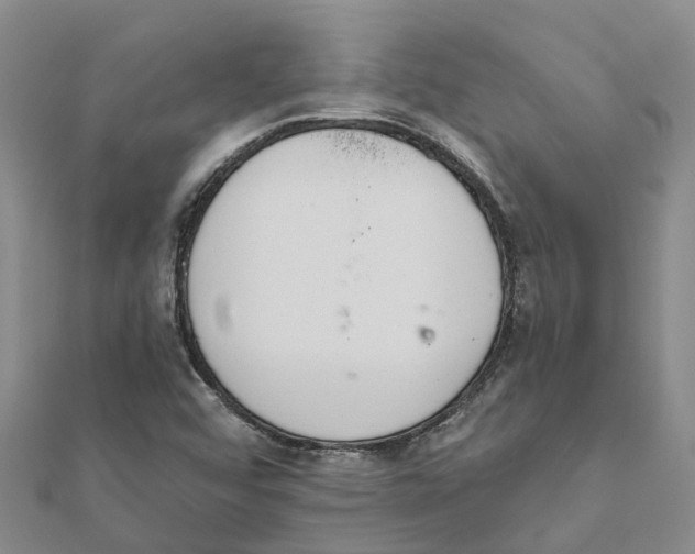 X0000111891456200908131644