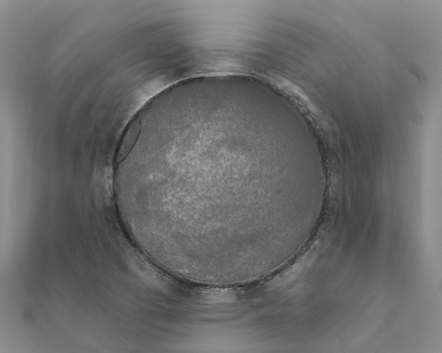 X0000111891457200908131644