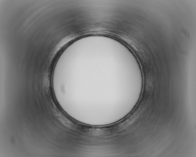 X0000111891458200908131644