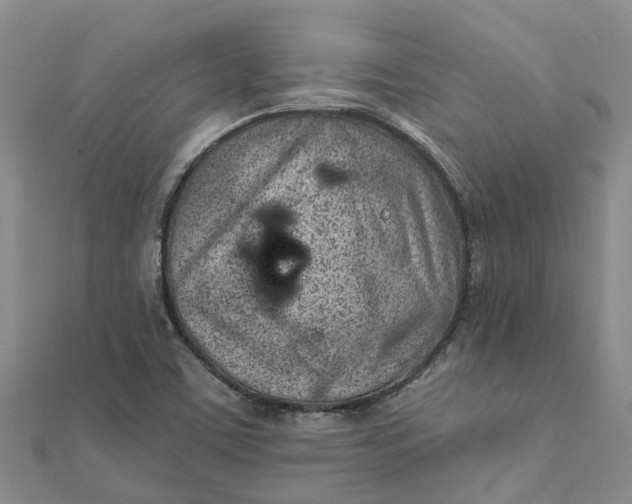 X0000111891459200908131644