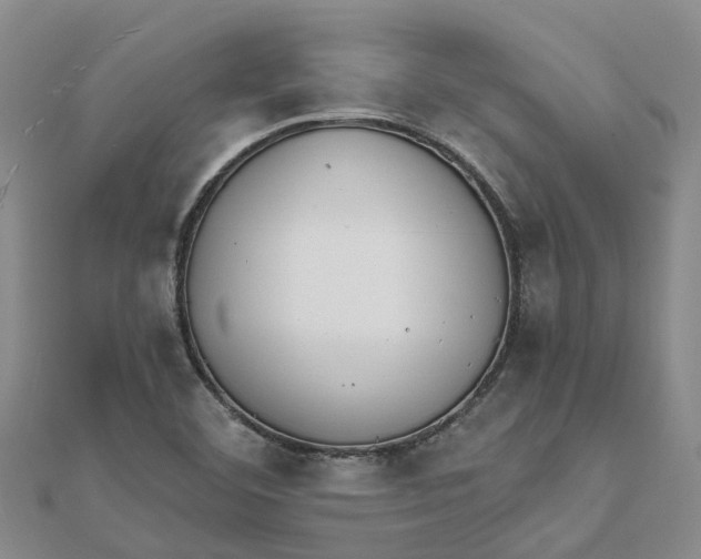 X0000111891460200908131644