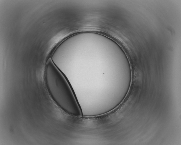 X0000111891461200908131644