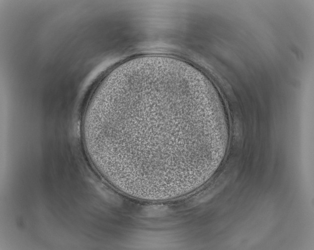 X0000111891462200908131644