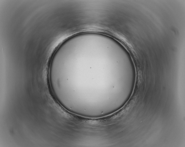 X0000111891463200908131644