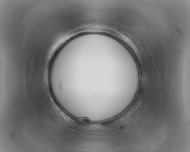 X0000111891464200908131644