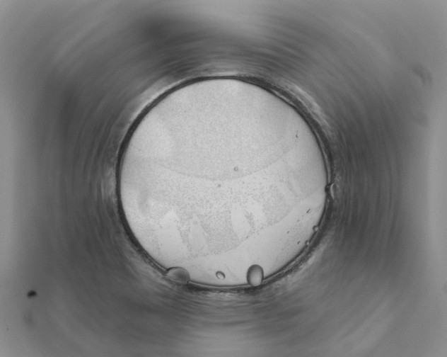 X0000111891465200908131644