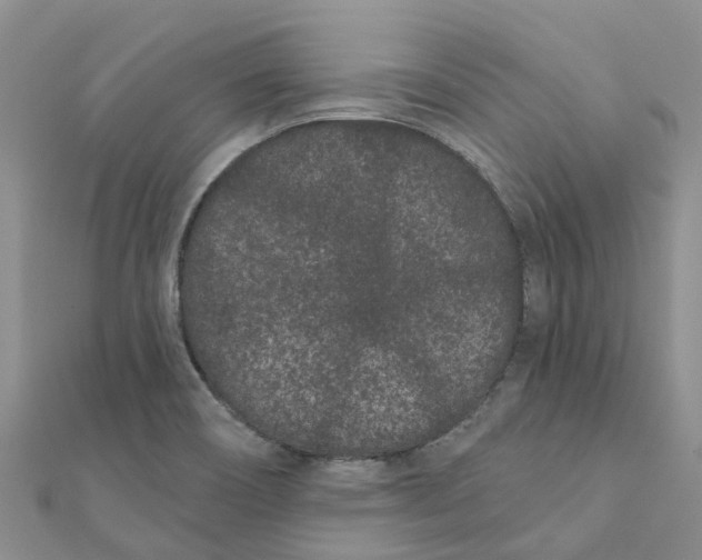 X0000111891466200908131644