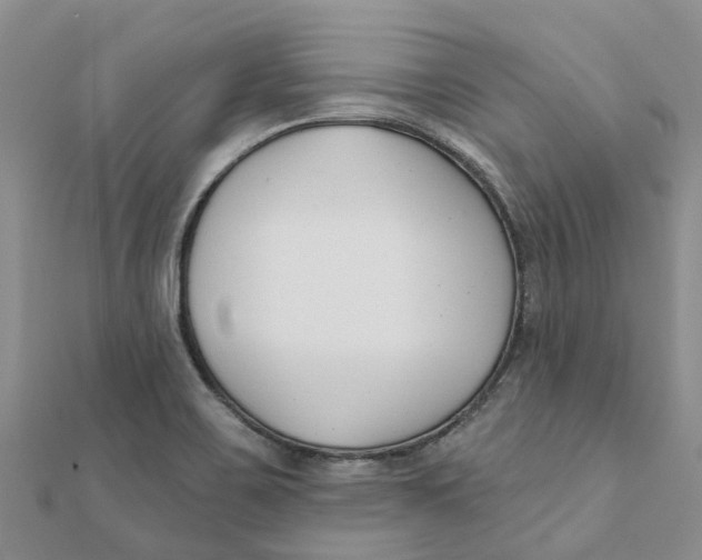 X0000111891467200908131644