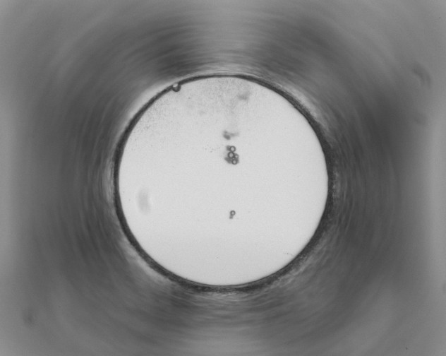 X0000111891468200908131644