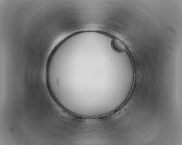 X0000111891469200908131644