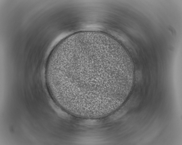 X0000111891470200908131644