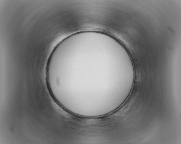 X0000111891471200908131644