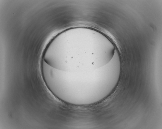 X0000111891472200908131644