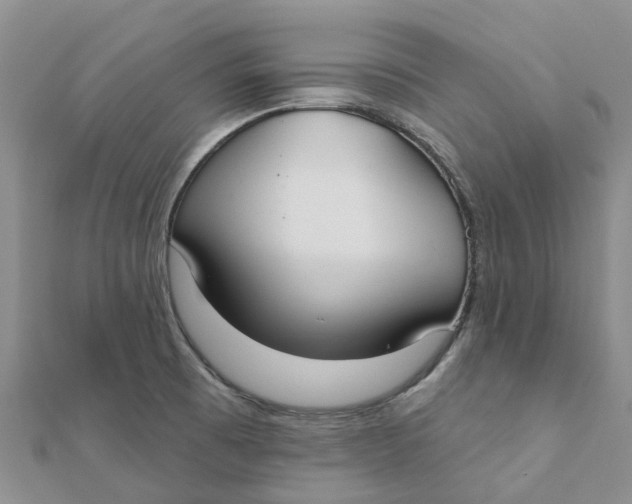 X0000111891473200908131644