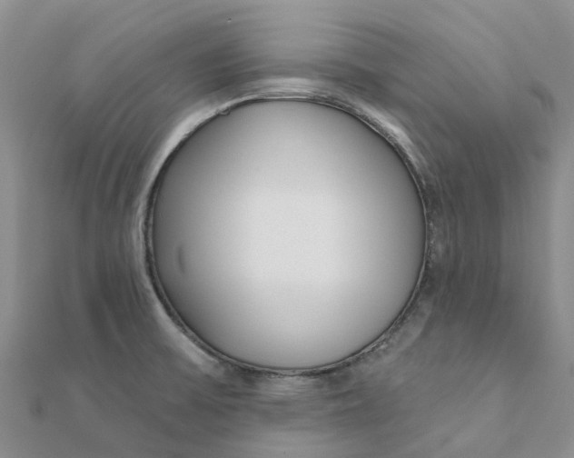 X0000111891475200908131644