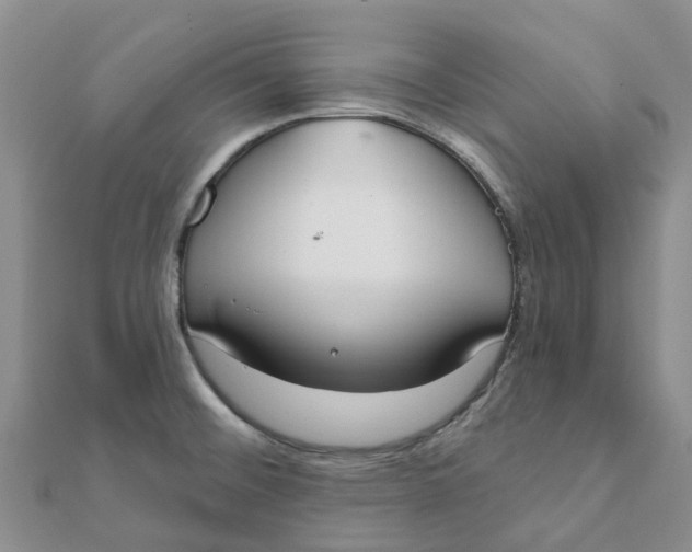 X0000111891476200908131644