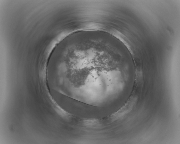 X0000111891477200908131644