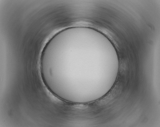 X0000111891478200908131644