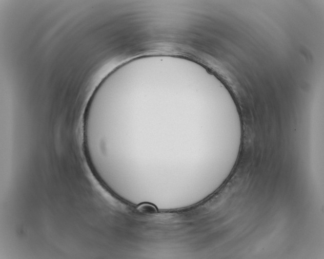 X0000111891479200908131644