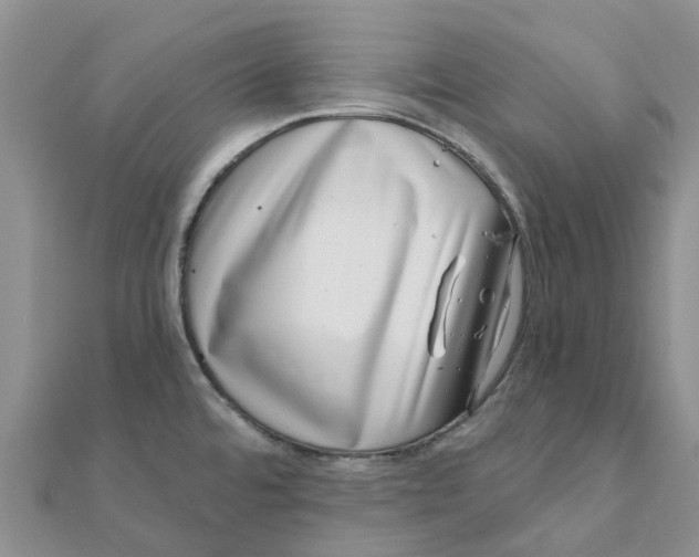 X0000111891480200908131644