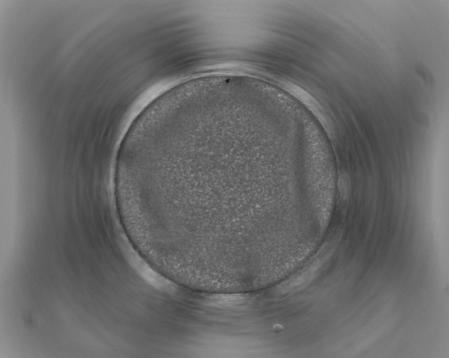 X0000111891482200908131644