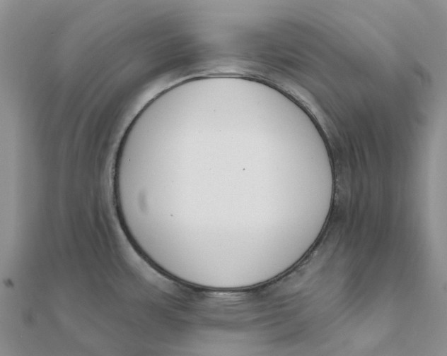 X0000111891483200908131644