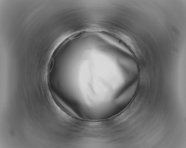 X0000111891484200908131644