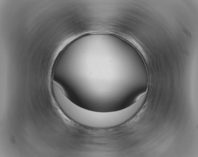 X0000111891485200908131644