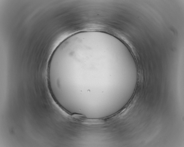 X0000111891487200908131644