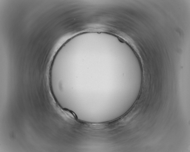 X0000111891488200908131644