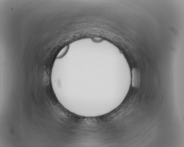 X0000111891491200908131643