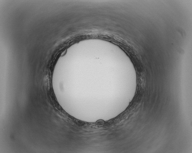 X0000111891493200908131643