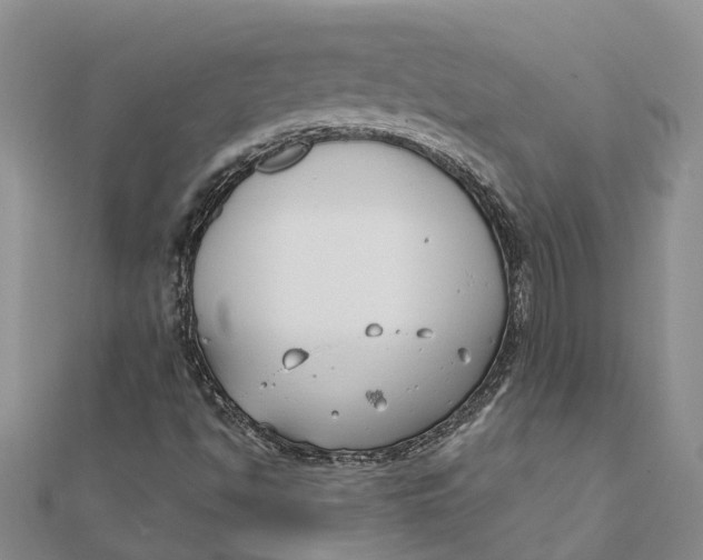 X0000111891494200908131643