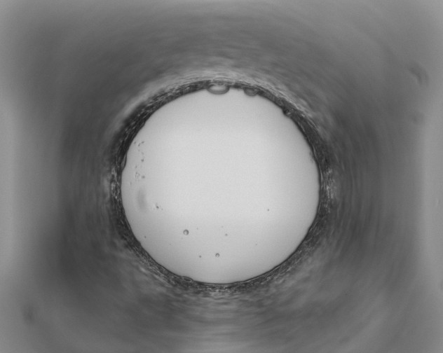 X0000111891495200908131643