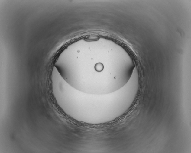 X0000111891496200908131643