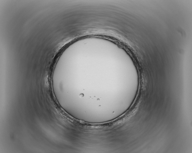 X0000111891497200908131643