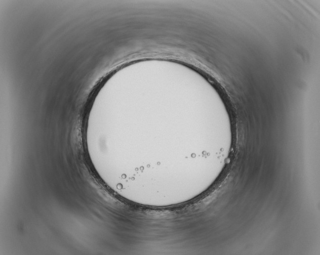 X0000111891498200908131643