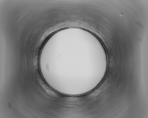 X0000111891499200908131643