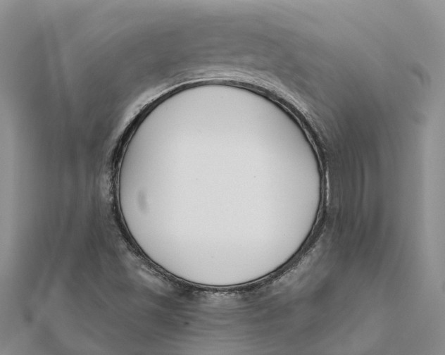 X0000111891501200908131643