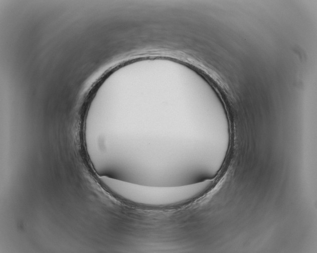 X0000111891502200908131643