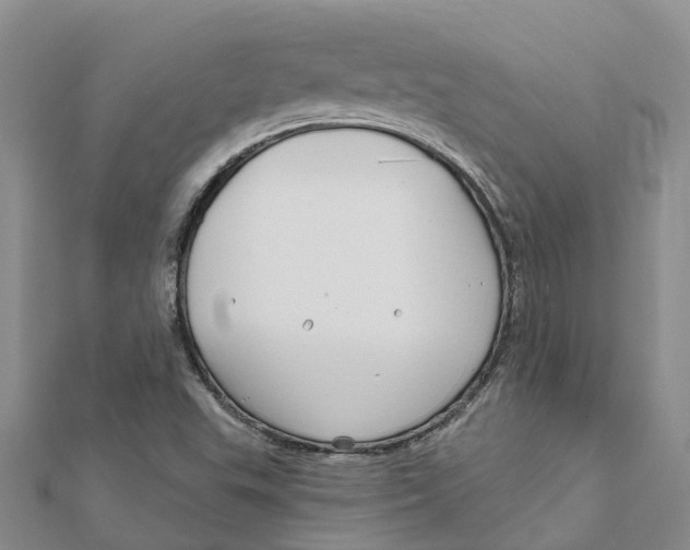 X0000111891503200908131643